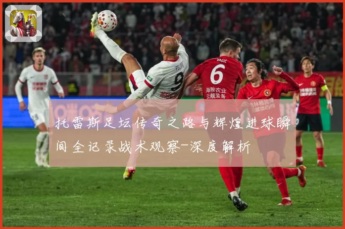 托雷斯足坛传奇之路与辉煌进球瞬间全记录战术观察-深度解析
