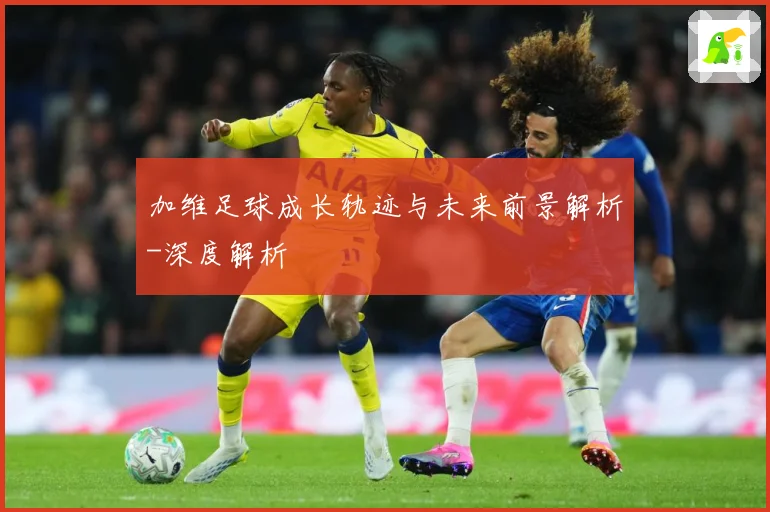 加维足球成长轨迹与未来前景解析-深度解析